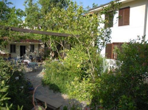 Misafir Evi Hotel Kayakoy Kültér fotó